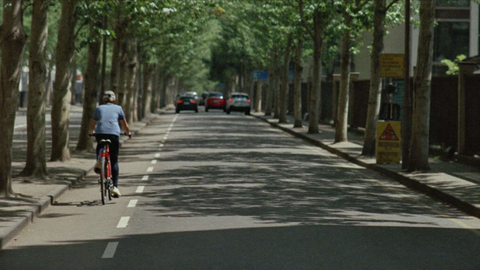 Radfahrerin auf einem Radstreifen in einer Baumallee